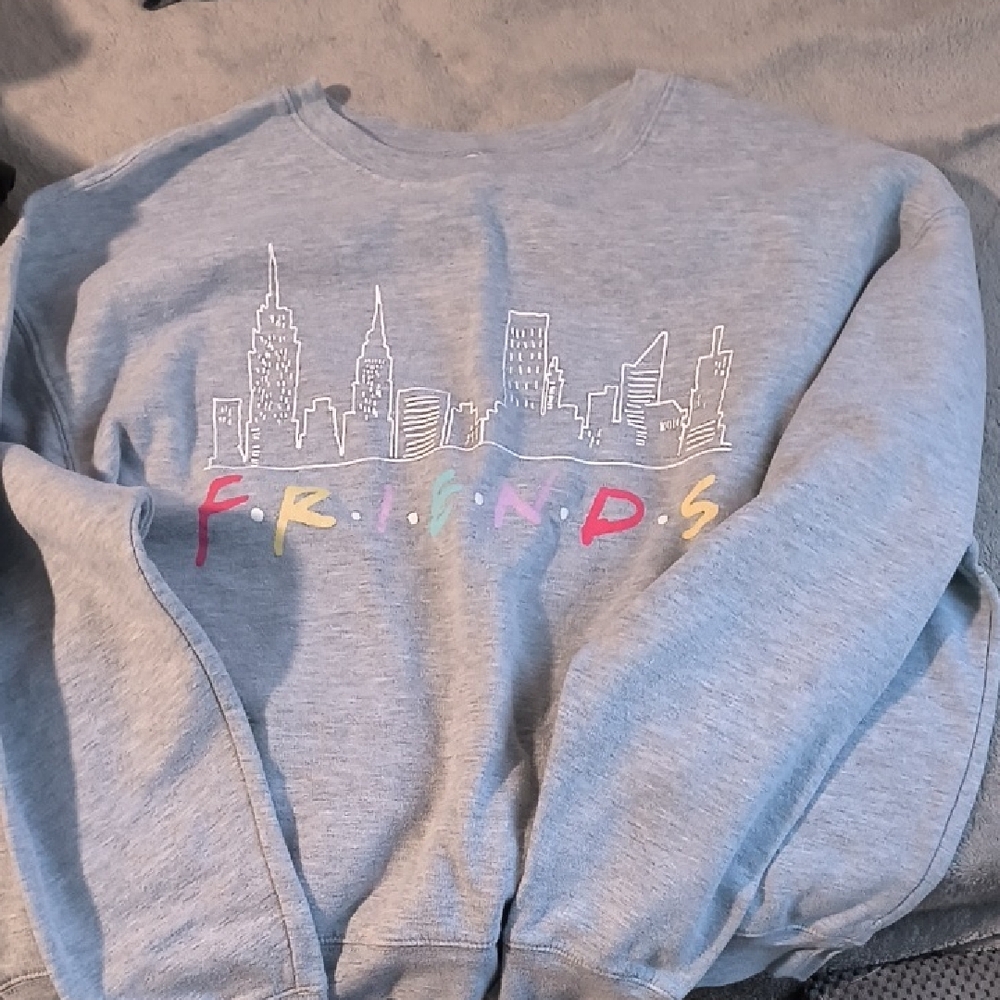 Gray Friends Sweatshirt with Skyline Design